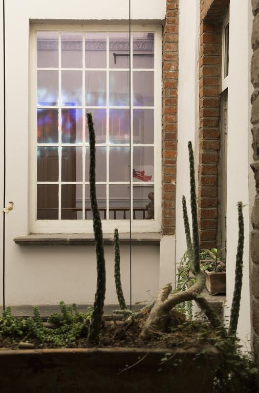 El Patio 77 B&B Meksyk Zewnętrze zdjęcie