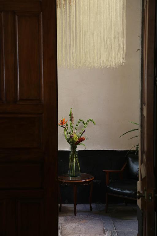 El Patio 77 B&B Meksyk Zewnętrze zdjęcie