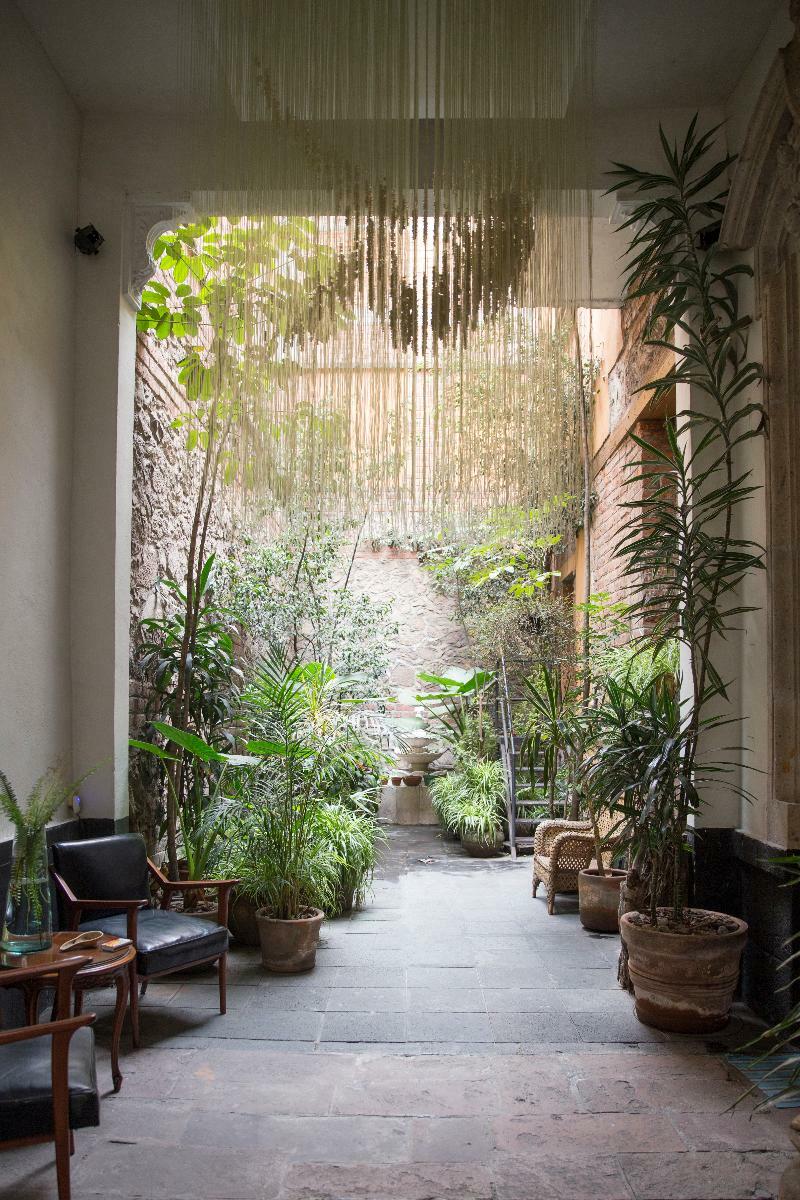 El Patio 77 B&B Meksyk Zewnętrze zdjęcie